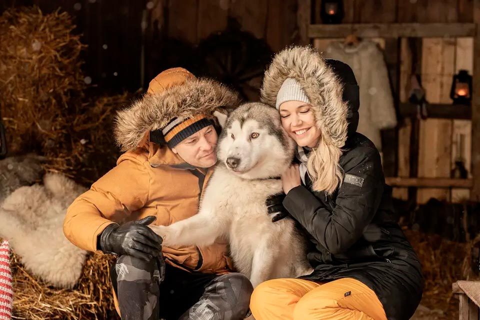 sleddog ride estonia